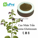 Adenosma glutinosum extract powder
